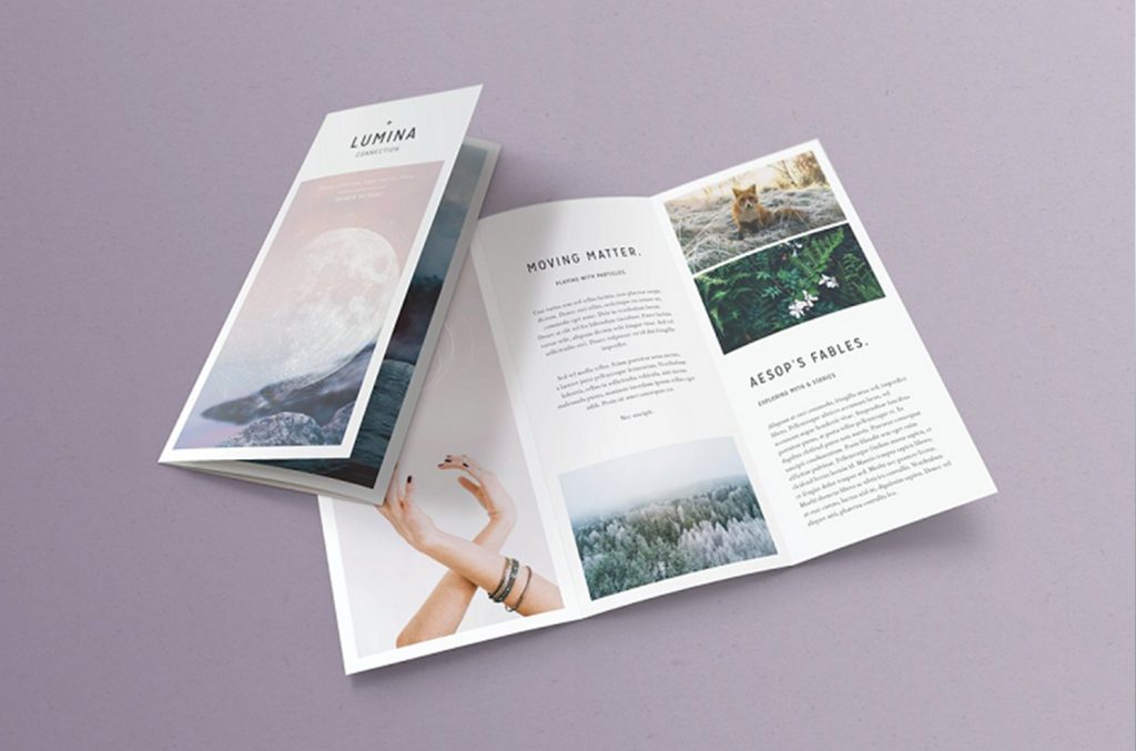 Why Brochures Make All the Difference in Branding